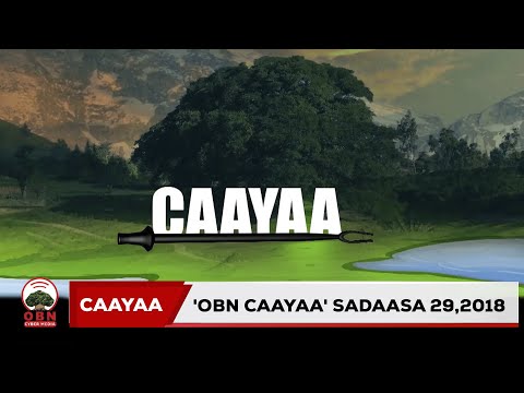 Caayaa