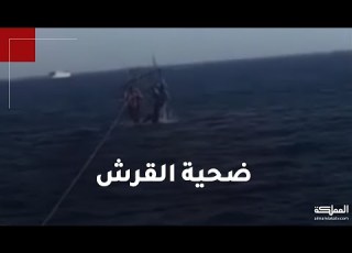 عضة القرش لم تستمر 3 ثواني وأصابتني بقطع 4 أوتار وشريان القدم و93 غرزة