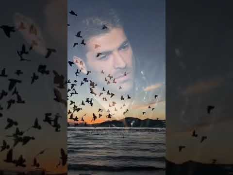 وائل كفوري الوقت هديه