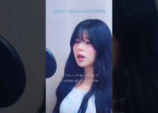  요루시카 그래서 나는 음악을 그만두었다 Cover Jpop Yorushika