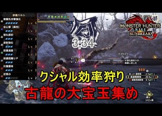 3分台でクシャルダオラを天に還す装備で古龍の大宝玉を集めよう MHRSB モンハンサンブレイク