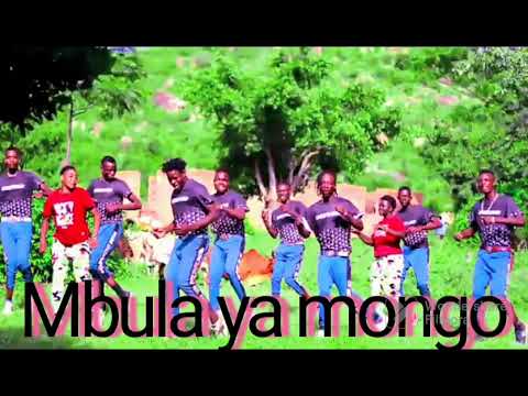 Malongo Wa Malongo Song Mbula Ya Mongo