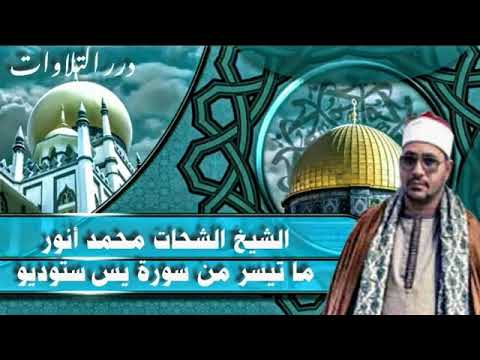 الشيخ الشحات محمد أنور ما تيسر من سورة يس ستوديو