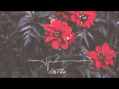 FG KOKAINA Feat Linda Bajrami