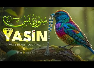  Relax Your Heart Sleep Peacefully Ultimate RELAXING Quran To Ease Your Soul Zikrullah TV
