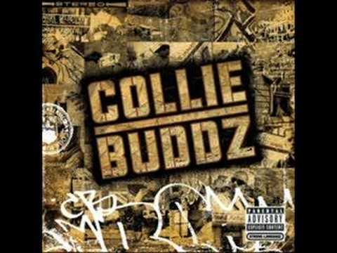 Collie Buddz Mamacita