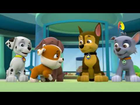 Kuchukchalar Jamoasi Yangi Qismlar AQLVOY Da O Tkazib Yubormang Paw Patrol O Zbek Tilida