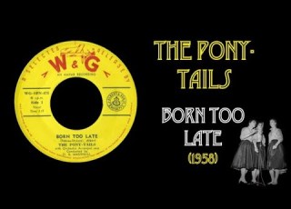 The Pony Tails Born Too Late 1958