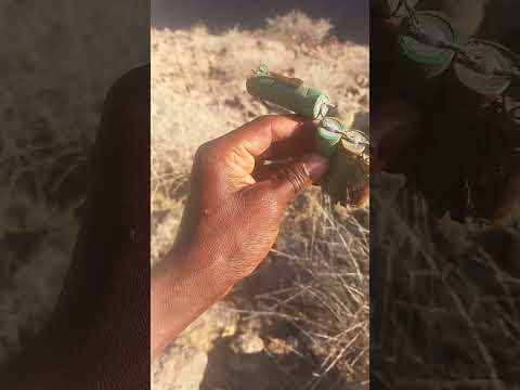 Diroonii Huutiin Yaman Sauditti Ergite Saudiin Lafa Buufte