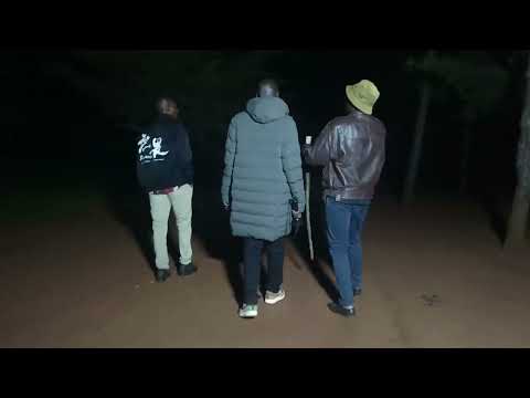 Nikazi Ya Bure Magaidi Wote Wameachiliwa