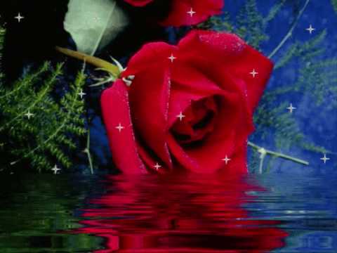 Garou Je Suis Le Meme