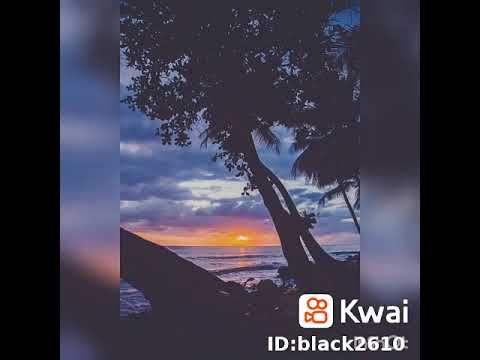 لحن اغاني تامر عاشور كل شيء رح منان لحن اغاني تامر عاشور كل شيء رح منان