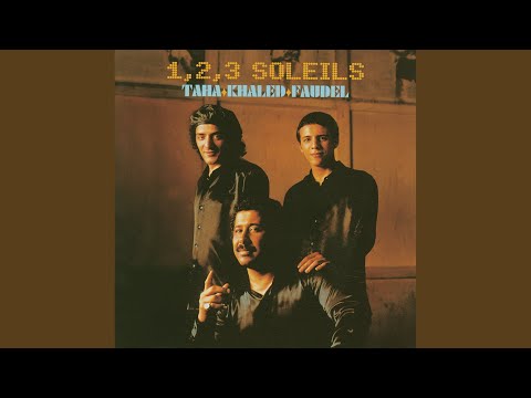 Didi Live A Bercy 1 2 3 Soleils