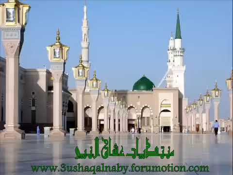 انشودة يا حمام المدينة سلم على نبينا