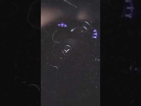 نور الزين راح اروح انت كلت