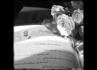  حبكم وسط الحشا سادي