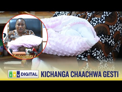 KICHANGA CHATELEKEZWA NYUMBA YA WAGENI NZEGA