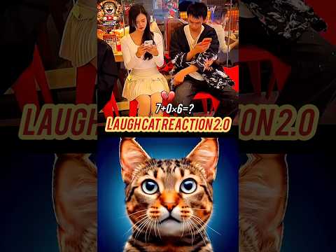 When My Friend Go For A Walk Cat Memes Dance