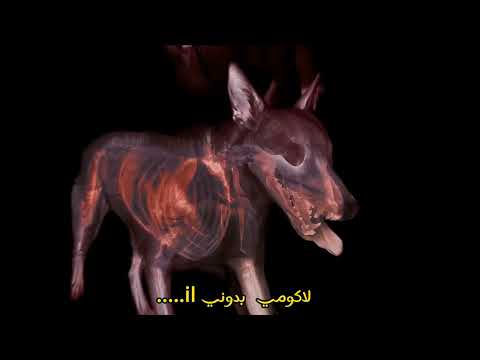 Didin Canon Feat Mc Artisan Suleiman Song Lyrics