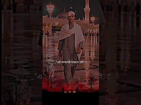 Alvidamaheramzanowaisrazaqadri Unfrezzmyaccount Https Vt Tiktok Com ZSHeMNX3H Da