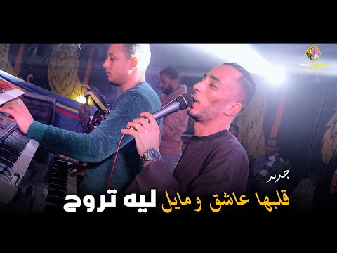 قلبها عاشق ومايل ليه تروح محمود سبايسى 2026 الجديد قلبها عاشق ومايل ليه تروح محمود سبايسى 2026 الجديد