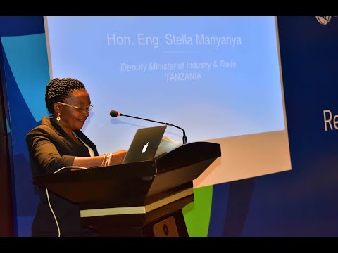 WANASHERIA ANGALIENI MIKATABA TUNAYOINGIA ISIWE YA UONEVU NAIBU WAZIRI STELA MANYANYA