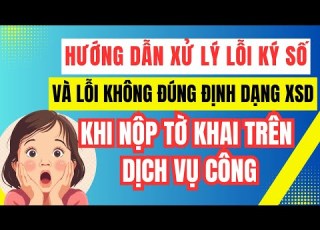 Hướng Dẫn Xử Lý Lỗi Ký Số Và Lỗi Không đúng định Dạng XSD Khi Nộp Tờ Khai Trên Dịch Vụ Công