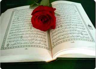  سورة يوسف حمد سنان