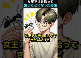 アリの王国を作りたい男のエピソード