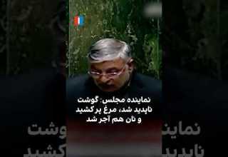 نماینده مجلس گوشت ناپدید شد مرغ پر کشید و نان هم آجر شد