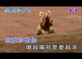 愛的就是你 王力宏 男F調 伴奏 導唱丙