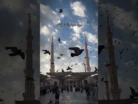 سلام سلام كمسك الختام