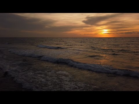 فيديو للتصميم بحر Background Video