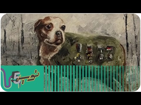 أغبى 5 حروب سببها البزرنة