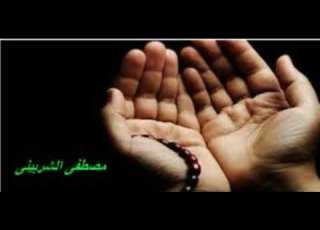سورة القصص للشيخ محمد عبدالوهاب الطنطاوى وتلاوة رائعة