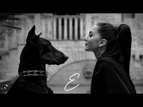 ADAM Isko Alvarez Emin Nilsen Zhurek Clone Leyla Dreaming Car Music 2024