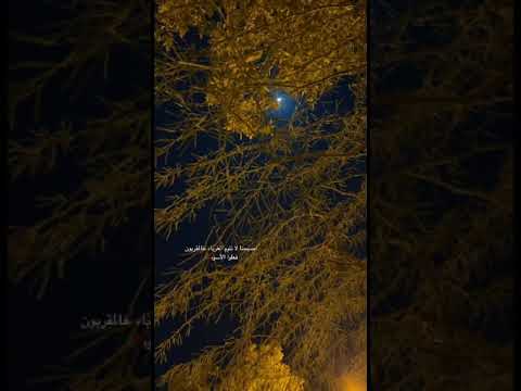 كل يوم يفوت كل يوم يعدي فين لياليك فضل شاكر