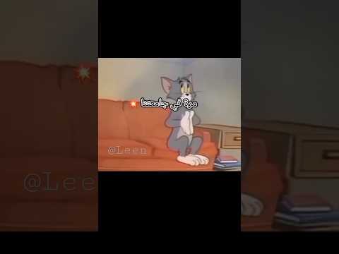 اغاني مرة في جامعتنا توم وجيري اغاني دراسة تصميمي فكرتي لايك STAR LEEN1