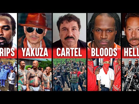 Here Are The 6 Most Dangerous Gangs In The World Here Are The 6 Most Dangerous Gangs In The World