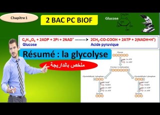 Résumé La Glycolyse Svt 2 Bac Pc Biof أسهل ملخص بالداريجة