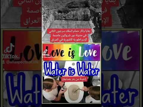 الحضارة الاشورية الكلدانية السريانية وزط صلعومي يتطاااول على اسياده وتلقينه درسا لن ينساه الأخ بشار