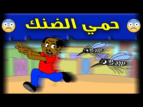 زنقة ح211 حمي الضنك