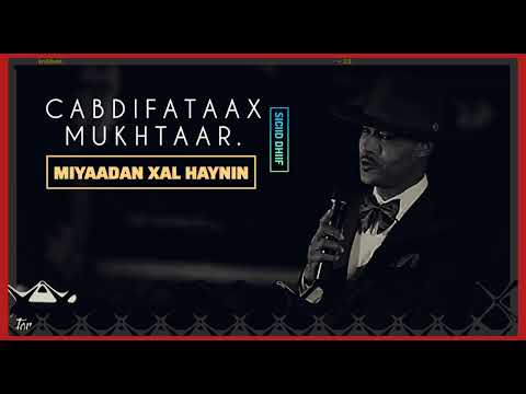 CABDIFATAAX MUKHTAAR HEES CAJIIB AH MIYAADAN XAL HAYNIN OFFICIAL MUSIC 2026