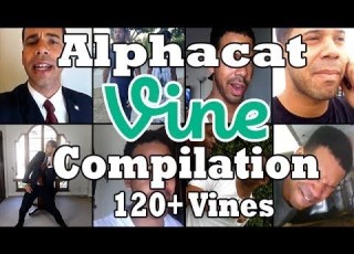  All Alphacat Vines 120 Ultimate Vine Compilation VinesHD