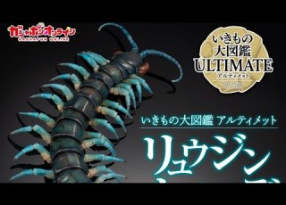  いきもの大図鑑アルティメット リュウジンオオムカデ 開封動画 ガシャポン ガシャガシャ