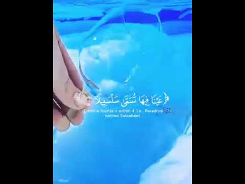 و ي س ق و ن ف يه ا ك أ س ا ك ان م ز اج ه ا ز ن ج ب يلا ع ي ن ا ف يه ا ت س م ى س ل س ب يلا و ي س ق و ن ف يه ا ك أ س ا ك ان م ز اج ه ا ز ن ج ب يلا ع ي ن ا ف يه ا ت س م ى س ل س ب يلا