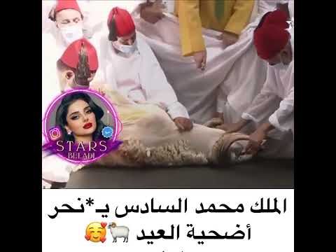 King Mohammed VI Sacrifices The Eid Sacrifice