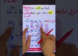 برنامج الفيزياء والكيمياء 2BAC أساسيات الفيزياء