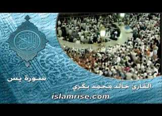 سورة يس القارئ الشيخ خالد محمد بكري