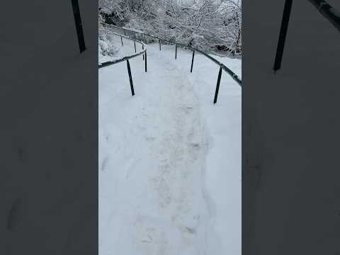 Кандидат в мастера спорта по лестничным лыжам